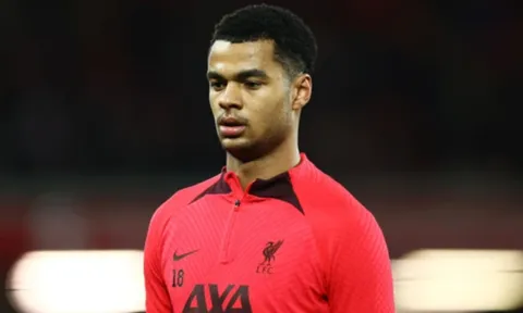 Liverpool nhận cảnh báo về thương vụ Gakpo