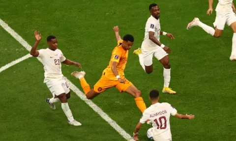 "Lại là Cody Gakpo"
