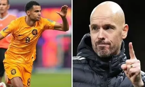 "Gakpo sẽ đến Premier League, khả năng cao là Man United"