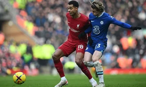 Thay máu nhân sự, Klopp nhắm đến tiền vệ Chelsea