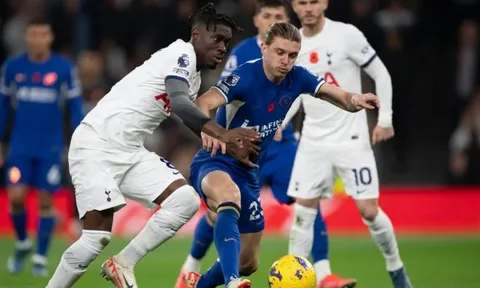 "Gallagher phù hợp với Spurs, 100%"