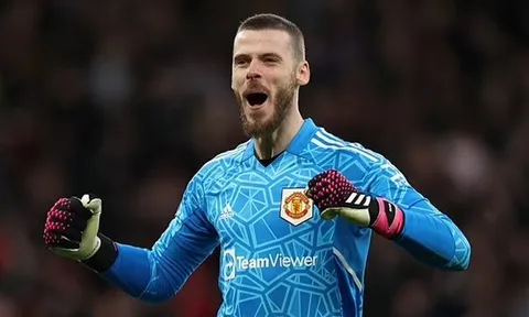 Gerrard muốn cướp De Gea trước mũi Man Utd