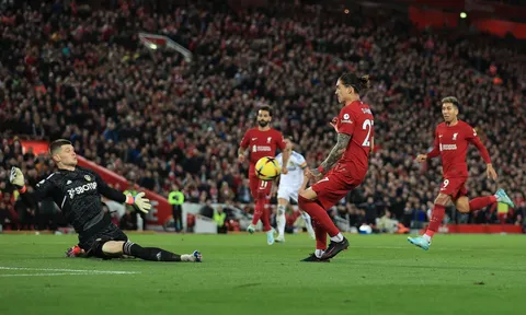 "Darwin Nunez đã tiến rất gần việc gia nhập Brighton với giá 25 triệu"
