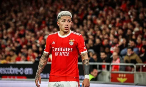 Chelsea rục rịch nổ bom tấn Enzo Fernandez, Benfica liền có câu trả lời