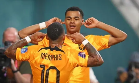 Van Dijk: "Gakpo đến M.U hay Real? M.U có cùng đẳng cấp với Real?"