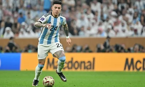 Đề nghị ký Enzo Fernandez đắt kỷ lục, CLB chủ quản liền có quyết định