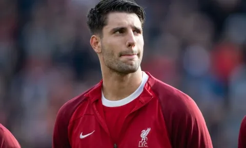 Rio Ferdinand chỉ ra tân binh bị thổi phồng tài năng của Liverpool