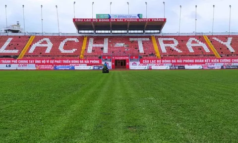 Hải Phòng xin đăng cai VL World Cup, VFF chốt câu trả lời