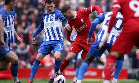 HLV Brighton choáng ngợp trước 1 cầu thủ Liverpool