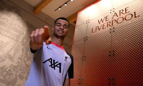 Khi nào Gakpo đá trận đầu cho Liverpool?