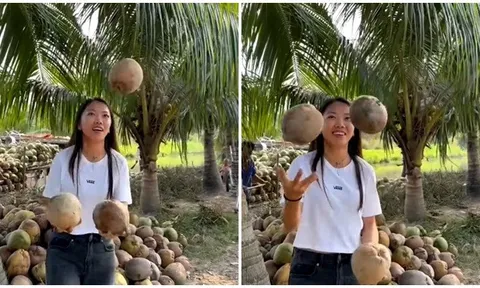 Kỷ lục gia Huỳnh Như hóa nghệ sĩ xiếc tung hứng dừa cực đỉnh