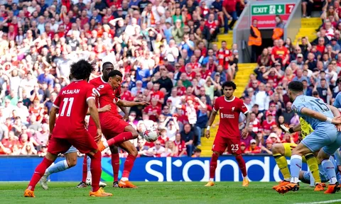 "Van Dijk đã đứng ở thế việt vị. Bàn thắng bị từ chối"