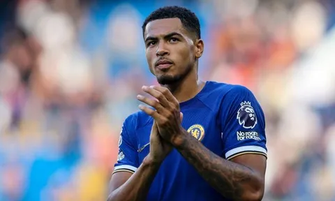 Diễn biến thương vụ Levi Colwill - Liverpool