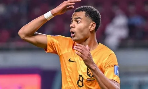 Man United có 2 lý do để tránh xa Cody Gakpo
