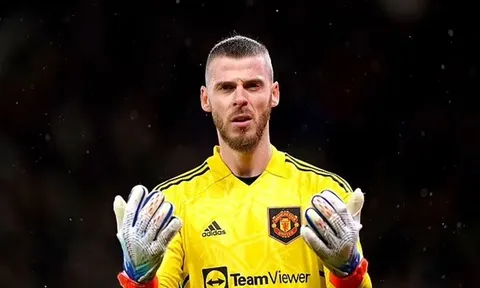 Dàn sao Man Utd điên tiết về vụ De Gea