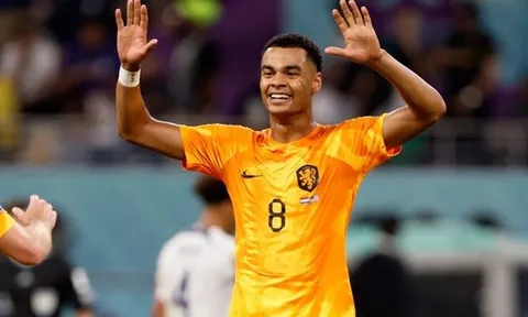 Man Utd mở đàm phán với PSV về Gakpo