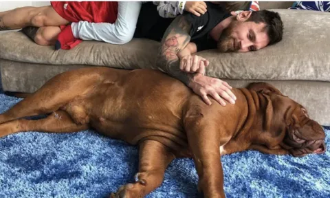 Messi có quyết định đau lòng khi chuyển đến Inter Miami