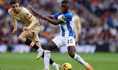 Moises Caicedo có gì đặc biệt khiến Chelsea bấn loạn?