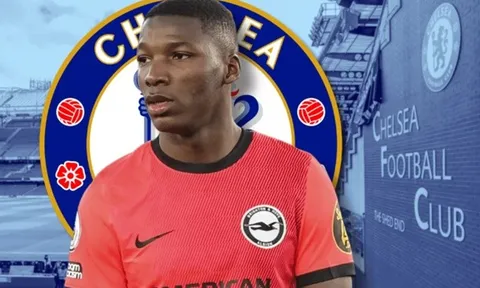 Moises Caicedo: Tình yêu lớn… theo thời cuộc