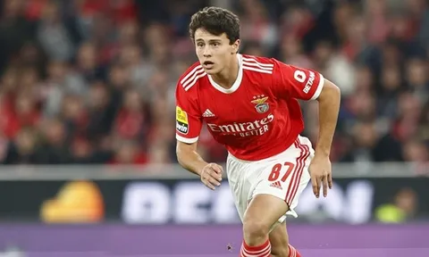 Borussia Dortmund nhăm nhe “viên ngọc quý” của Benfica