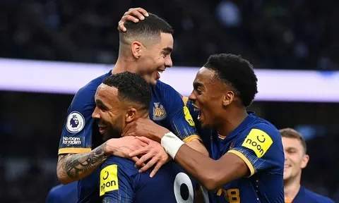 Newcastle đang bay cao