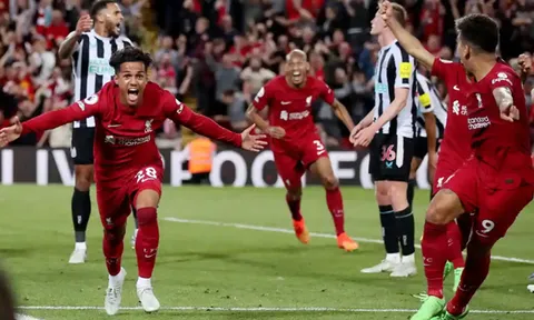 Newcastle vs Liverpool: Top 4 xa vời