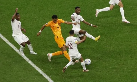 Ngả mũ trước Cody Gakpo