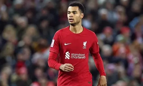 Nhìn Man Utd, Gakpo nhận ra nỗi đau thấu xương