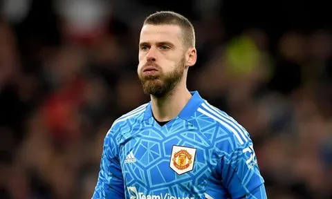 Những cựu sao Premier League đang thất nghiệp: 4 người cũ Man Utd