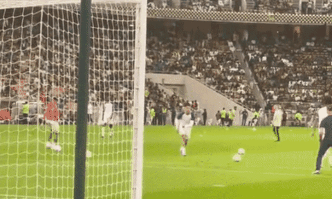 Ronaldo sút bóng vào CĐV
