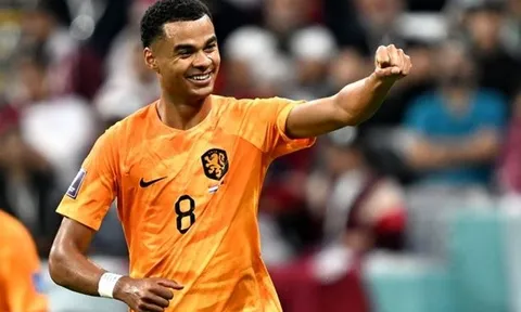 Sao Man Utd nói thẳng về đẳng cấp của Gakpo