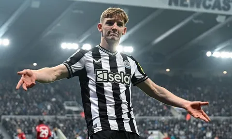 Sao Newcastle khiến Ferdinand hối hận