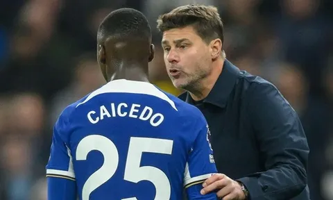 Mauricio Pochettino "nhắc khéo" Moises Caicedo