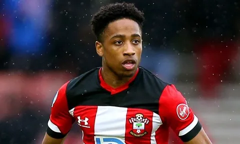 "Phương án thay thế lý tưởng cho Timber"