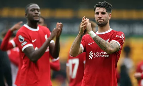 Chuyên gia ngả mũ trước 'quái vật' của Liverpool