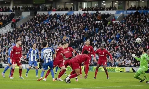 Thắng Liverpool, Brighton tìm ra ngôi sao 100 triệu