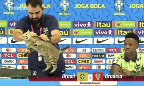 Thành viên tuyển Brazil ném con mèo trong buổi họp báo