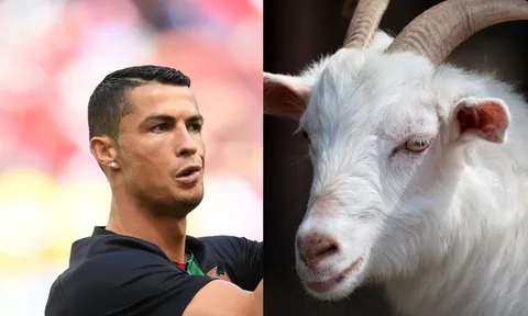 Thủ môn MU: 'Ronaldo là G.O.A.T'