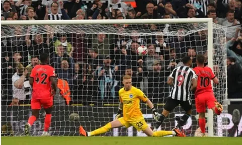 Toàn diệt Brighton, Newcastle tiến gần tấm vé dự UCL