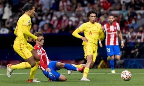 'Tôi không chắc Van Dijk có thể thoát khỏi những chỉ trích'