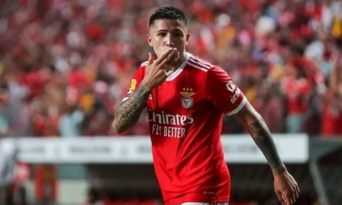 Từ Nunez đến Enzo, Benfica thu về 600 triệu nhờ bán ngôi sao