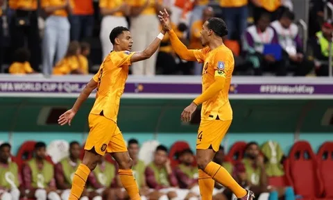 Van Dijk đã gửi thông điệp xát muối M.U trước khi Liverpool chốt Gakpo
