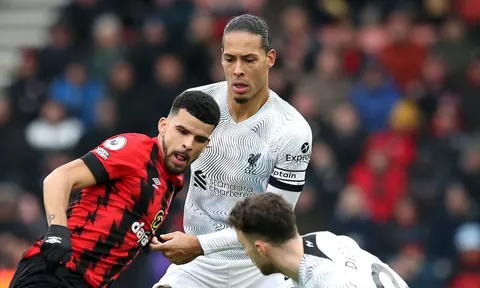 "Van Dijk dường như đã bỏ cuộc"
