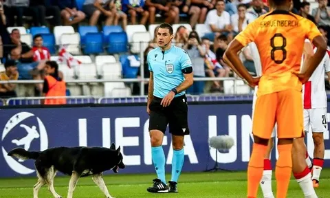 'Vị khách không mời' làm gián đoạn trận đấu của Hà Lan tại U21 EURO