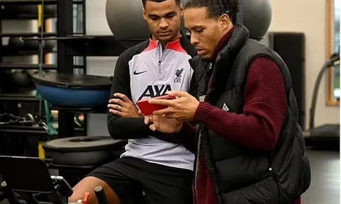 Van Dijk nhấn mạnh điều Gakpo cần làm ở Liverpool