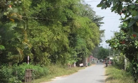 Vụ thi thể nữ ven đường: Lật tẩy “chân tướng” Nguyễn Tiến Dũng (SN 1983), hé lộ quan hệ bất ngờ