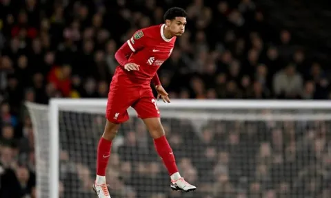 Vượt qua Fulham, Van Dijk khen ngợi 2 cầu thủ