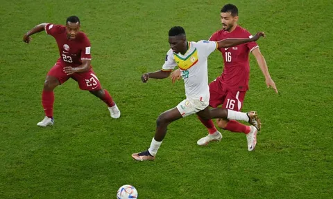 World Cup quá tầm, chủ nhà Qatar thua trận thứ 2 liên tiếp