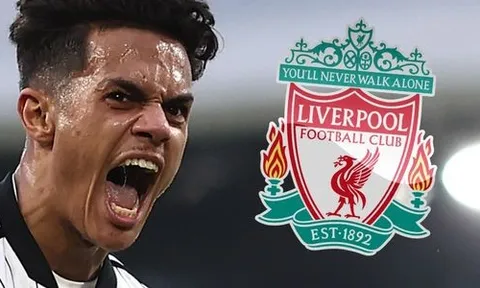 Liverpool sở hữu tiền vệ công xuất sắc nhất Championship với giá hời