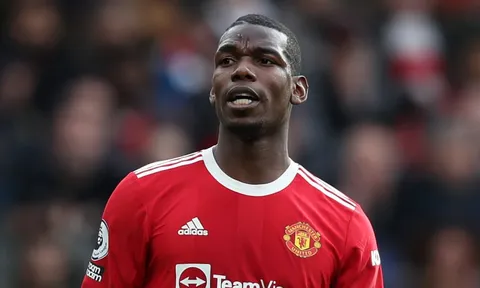 Sheringham: M.U nên thay Pogba bằng tiền vệ xuất sắc nhất thế giới